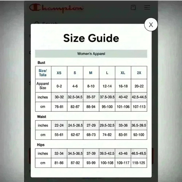 Champion Women’s Size Medium Script Logo Tee, in color Dark Berry Purple - Picture 10 of 11